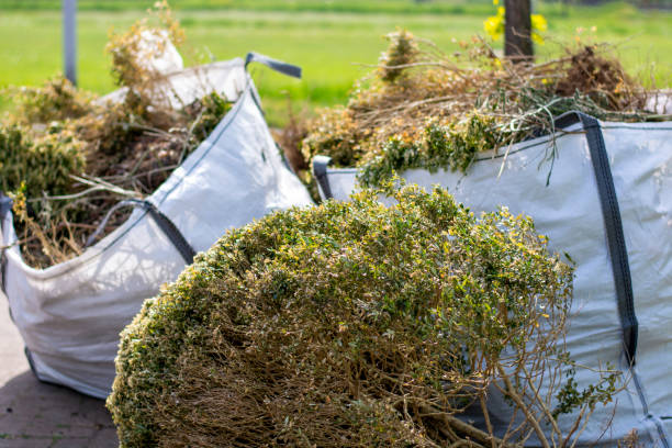  Melrose, MA Junk Removal Services Pros